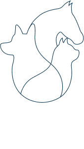 CVZ